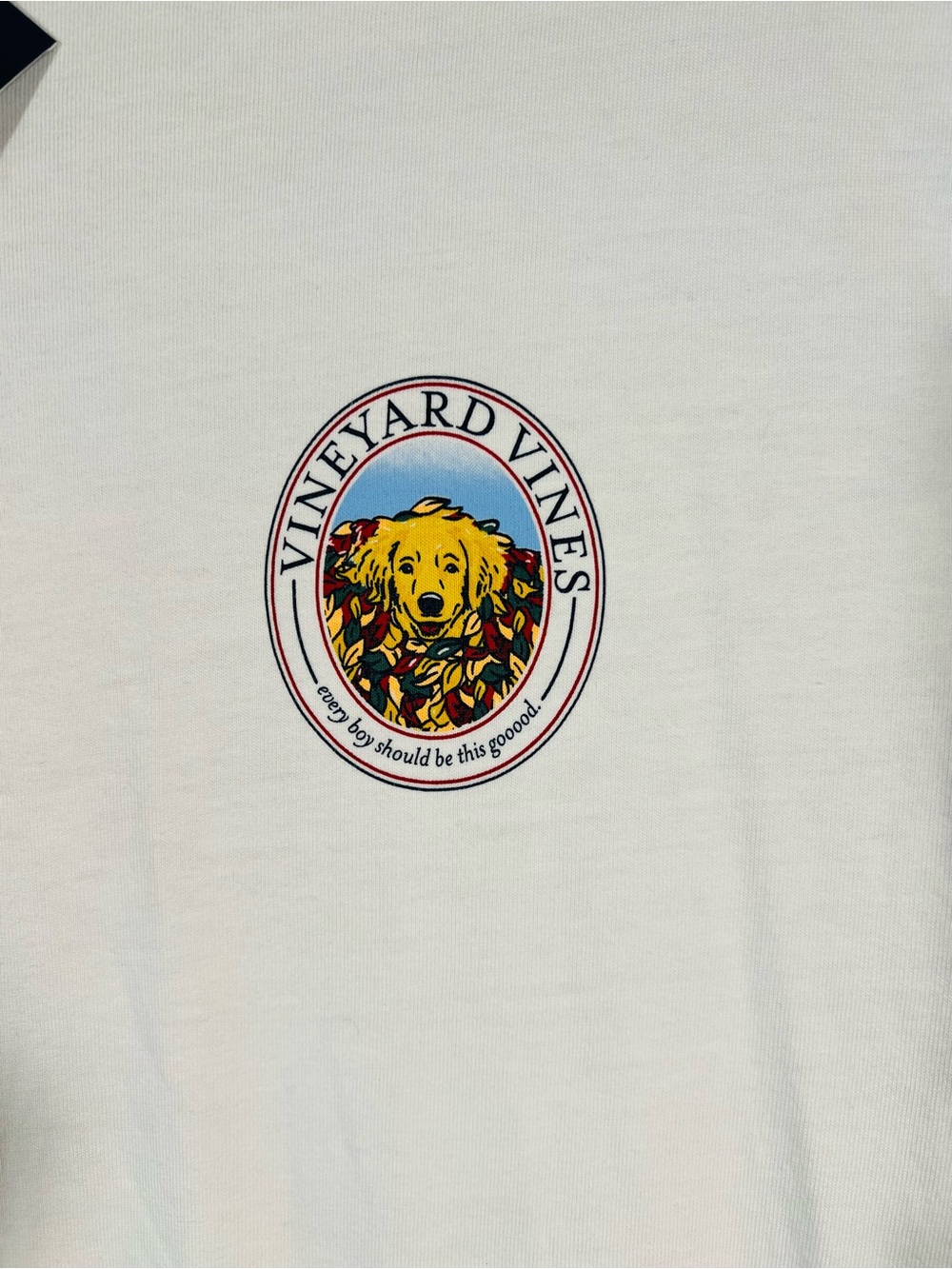Vineyard Vines Men M Leaf Pile Doggy Long Sleeve Graphic Shirt Golden Retriever - Picture 9 of 14